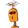 guest